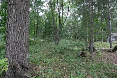 Tbd 241st Avenue NE, Stacy, MN 55079 - Photo 3