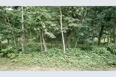 Tbd 241st Avenue NE, Stacy, MN 55079 - Photo 19