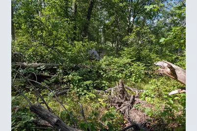 Lot 9 Block 1 Fawn Lake Road, Crosslake, MN 56442 - Photo 11