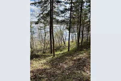 37222 N Courage Dr (Lot 5), Lake George Township, MN 56458 - Photo 7