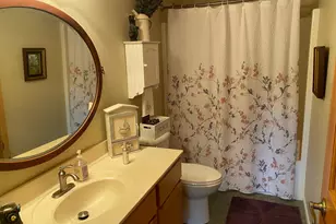 1008 Hidden Meadow Ln, Lake City, MN 55041 - Photo 47