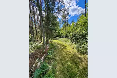 Tbd River Forest Road, Roseau, MN 56751 - Photo 5