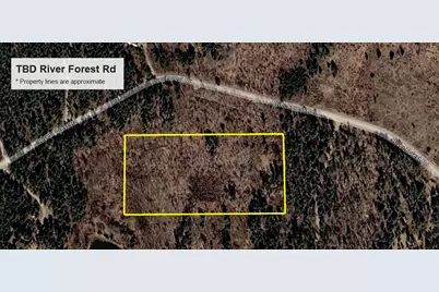 Tbd River Forest Road, Roseau, MN 56751 - Photo 3