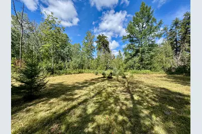 Tbd River Forest Road, Roseau, MN 56751 - Photo 1