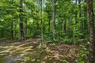 12652 W S Shore Rd, Hayward, WI 54843 - Photo 57