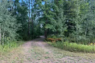 54590 United Country Ct, Sandstone, MN 55072 - Photo 1