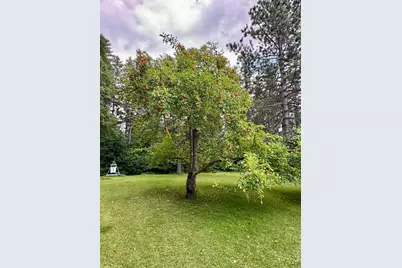 69305 Kirkwood Drive, Roosevelt, MN 56673 - Photo 45