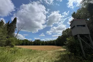 10852 W Toivola Rd, Toivola, MN 55765 - Photo 35