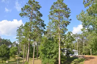 20827 Fenwick Cir, Park Rapids, MN 56470 - Photo 17