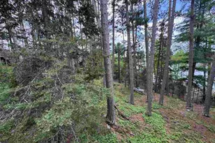 3069 Black Bay Rd, Cook, MN 55723 - Photo 39