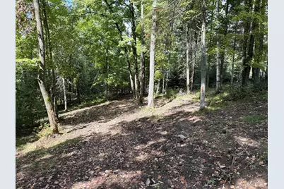 Tbd2 Long Lake Road, Stone Lake, WI 54876 - Photo 9