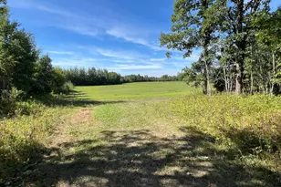000 Dell Rd, Finlayson, MN 55735 - Photo 1