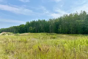 Tbd-Lot 8 E Ottertail Road NW, Walker, MN 56484 - Photo 1