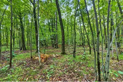 20 Acres State Hwy 77, Hayward, WI 54843 - Photo 7