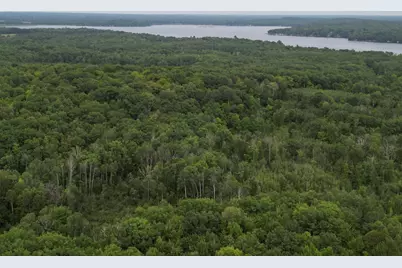 Tbd 324th Avenue, Pierz, MN 56364 - Photo 3