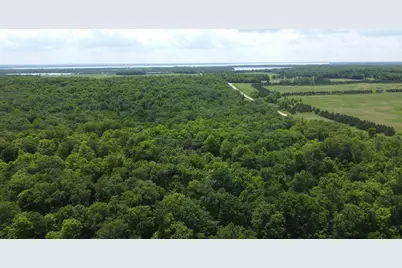 Tbd 355th Street, Richville, MN 56576 - Photo 9