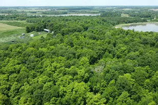 Tbd 355th St, Richville, MN 56576 - Photo 1
