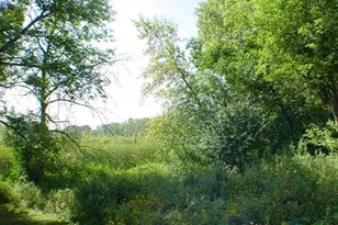 1010 Kirkwood Ln N, Plymouth, MN 55441 - Photo 27