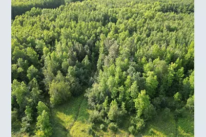 4161 County Road 9, Littlefork, MN 56653 - Photo 5