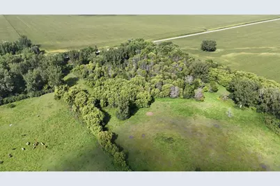 81581 275th Street, Hollandale, MN 56045 - Photo 3