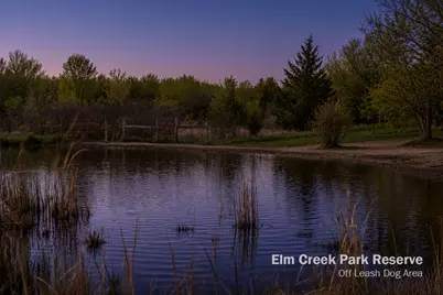 8214 109th Place N, Champlin, MN 55316 - Photo 77