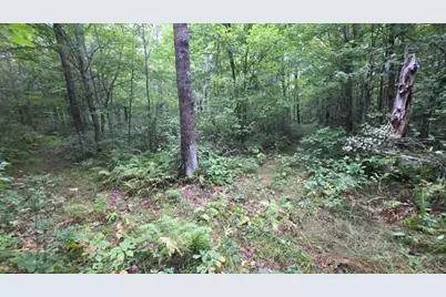 10501 N County Hwy M Highway, Springbrook, WI 54875 - Photo 23