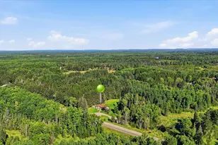8783 Iron Junction Rd, Iron, MN 55751 - Photo 31