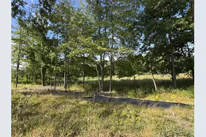 4933 149th Avenue NE, Ham Lake, MN 55304 - Photo 5