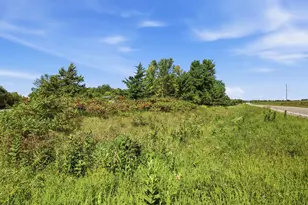 13392 County Rd 4 NE, Spicer, MN 56288 - Photo 33
