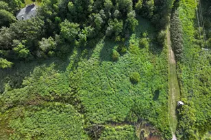 40099 US-71, Bertha, MN 56437 - Photo 11