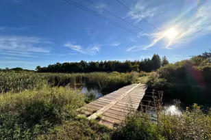 40099 US-71, Bertha, MN 56437 - Photo 21