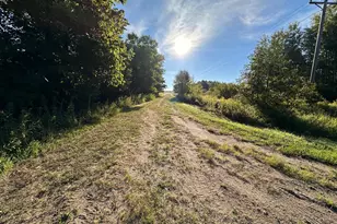 40099 US-71, Bertha, MN 56437 - Photo 15