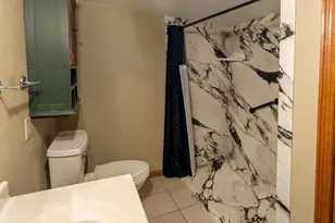 263 S Pine St, Dexter, MN 55926 - Photo 43