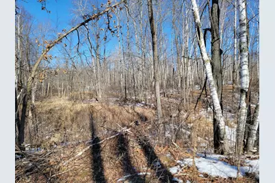 Tbd Xxxx Meadow Lake Road SW, Motley, MN 56466 - Photo 1