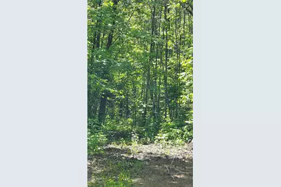 17 County Road, Mizpah, MN 56660 - Photo 1
