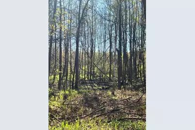 Tbd Baich Dr, Coleraine, MN 55722 - Photo 13