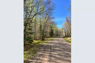 Tbd Baich Dr, Coleraine, MN 55722 - Photo 5