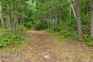 24871 E Long Lake Rd, Bigfork, MN 56628 - Photo 35