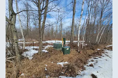 Tbd Xxxx Black Bear Drive SW, Motley, MN 56466 - Photo 13