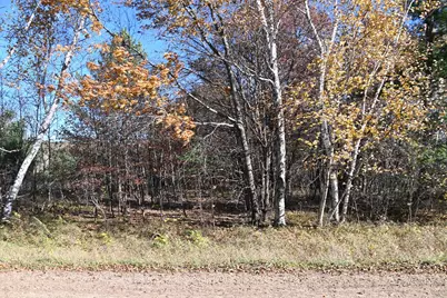 Tbd Pacer Loop, Browerville, MN 56438 - Photo 3