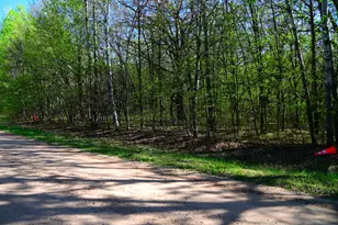28329 Orchard Dr, Browerville, MN 56438 - Photo 1