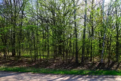 28329 Orchard Drive, Browerville, MN 56438 - Photo 3
