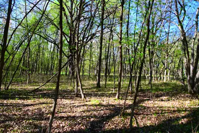 28329 Orchard Drive, Browerville, MN 56438 - Photo 15