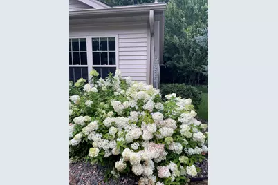 10850 Woodland Drive, Chisago City, MN 55013 - Photo 33