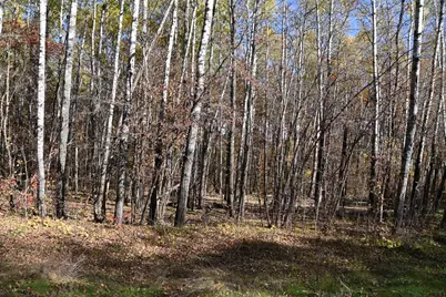 39924 Oriole Court, Browerville, MN 56438 - Photo 7