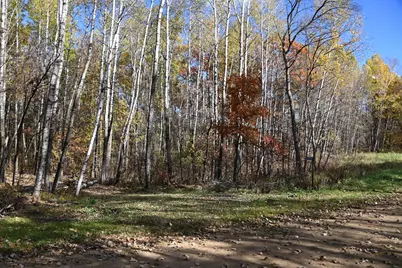 39924 Oriole Court, Browerville, MN 56438 - Photo 1