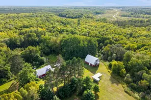 42259 Little Pine Rd, Emily, MN 56447 - Photo 39