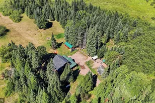 6161 N County Hwy W, Winter, WI 54896 - Photo 5
