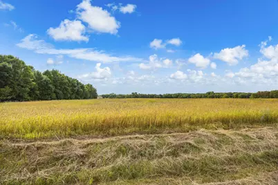 Xxx County Road 12, Princeton, MN 55371 - Photo 3