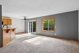 441 Pleasant Ln, Chaska, MN 55318 - Photo 5